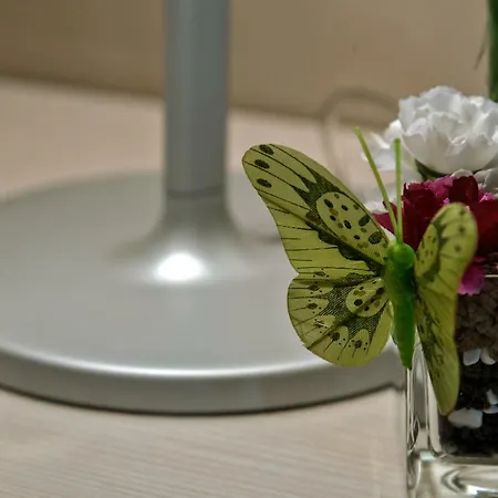 Guest house Luna Trogir