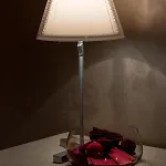 Luna 3*